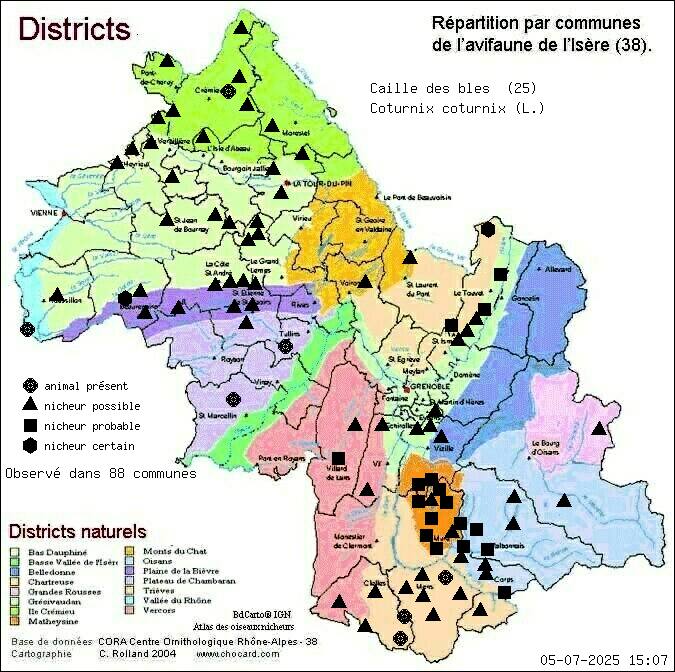 Caille des bls (Coturnix coturnix (L.)): carte de rpartition en Isre