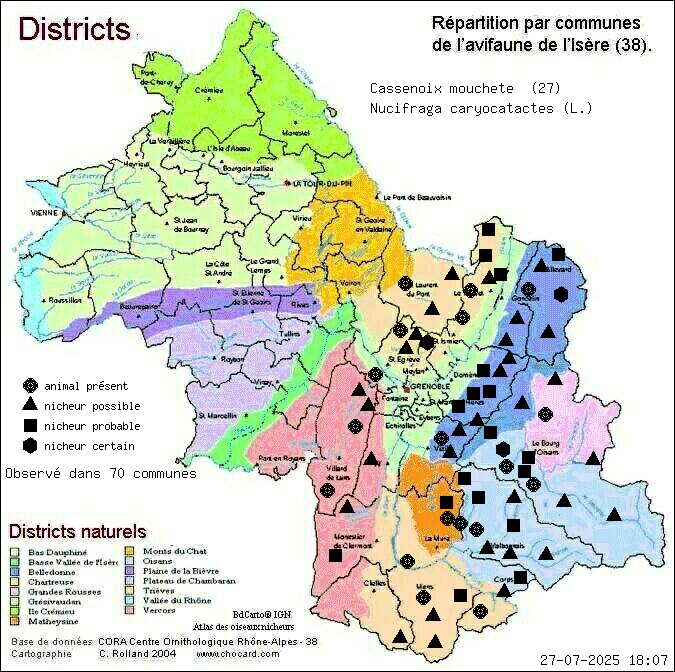 Cassenoix mouchet (Nucifraga caryocatactes (L.)): carte de rpartition en Isre