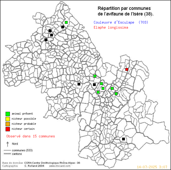 Couleuvre d Esculape (Elaphe longissima): carte de rpartition en Isre