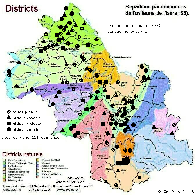 Carte de rpartition par communes en Isre d'une espce d'animal: Choucas des tours (Corvus monedula L.) selon Districts naturels