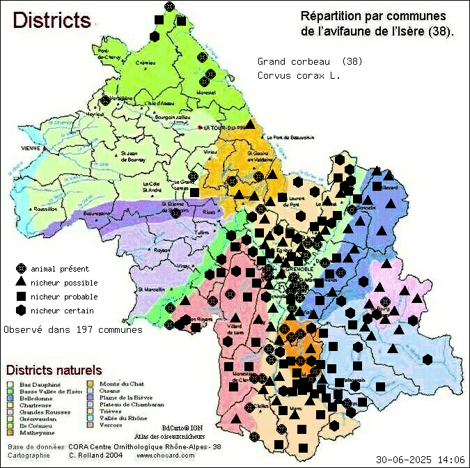 Carte de rpartition par communes en Isre d'une espce d'animal: Grand corbeau (Corvus corax L.) selon Districts naturels