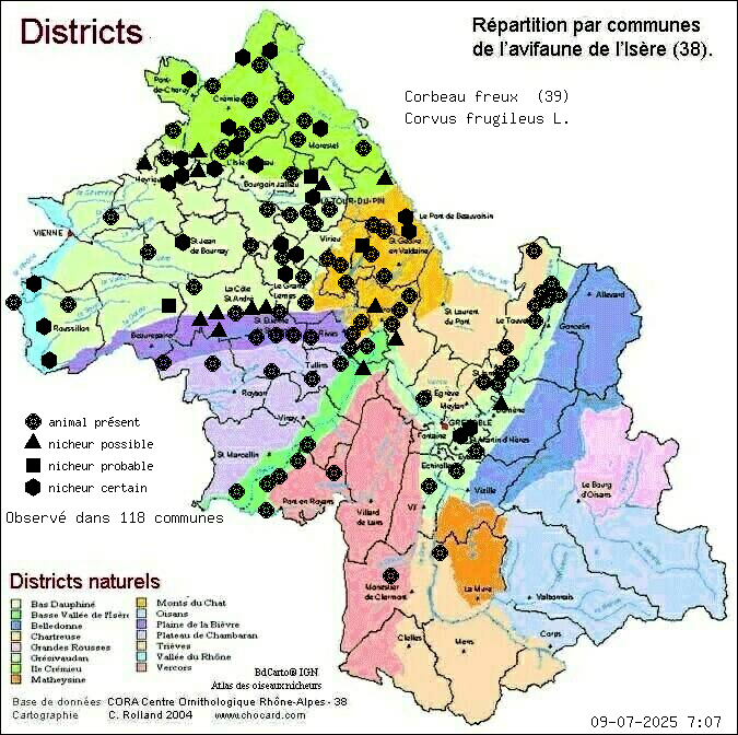 Carte de rpartition par communes en Isre d'une espce d'animal: Corbeau freux (Corvus frugileus L.) selon Districts naturels