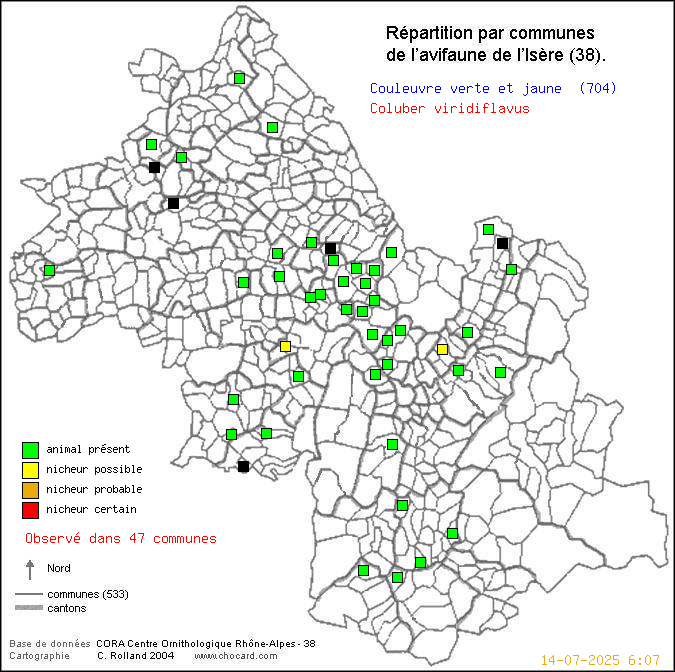 Carte de rpartition par communes en Isre d'une espce d'animal: Couleuvre verte et jaune (Coluber viridiflavus) selon Communes et cantons