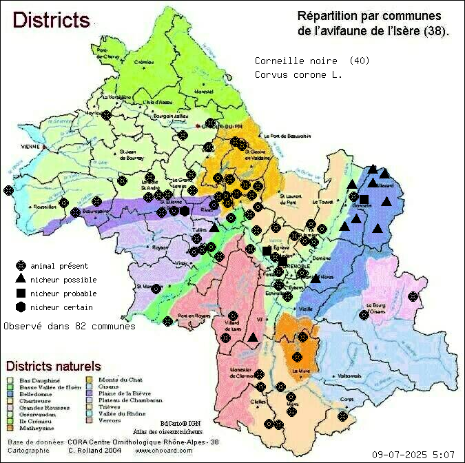 Carte de rpartition par communes en Isre d'une espce d'animal: Corneille noire (Corvus corone L.) selon Districts naturels