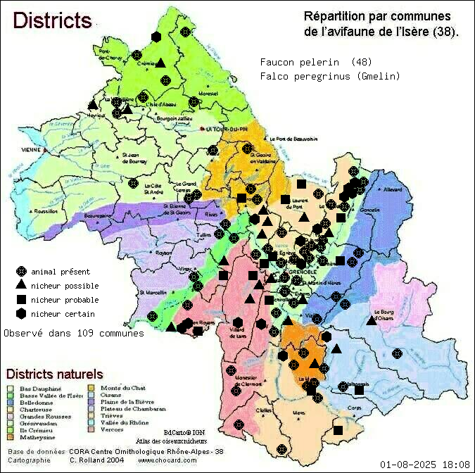 Carte de rpartition par communes en Isre d'une espce d'animal: Faucon plerin (Falco peregrinus (Gmelin)) selon Districts naturels