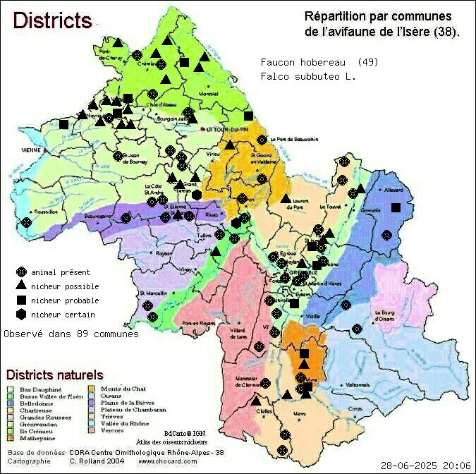 Carte de rpartition par communes en Isre d'une espce d'animal: Faucon hobereau (Falco subbuteo L.) selon Districts naturels