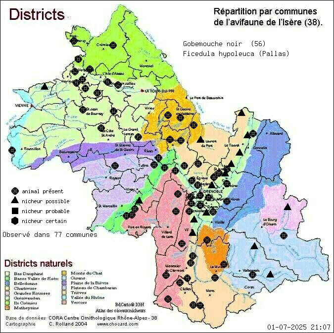 Carte de rpartition par communes en Isre d'une espce d'animal: Gobemouche noir (Ficedula hypoleuca (Pallas)) selon Districts naturels