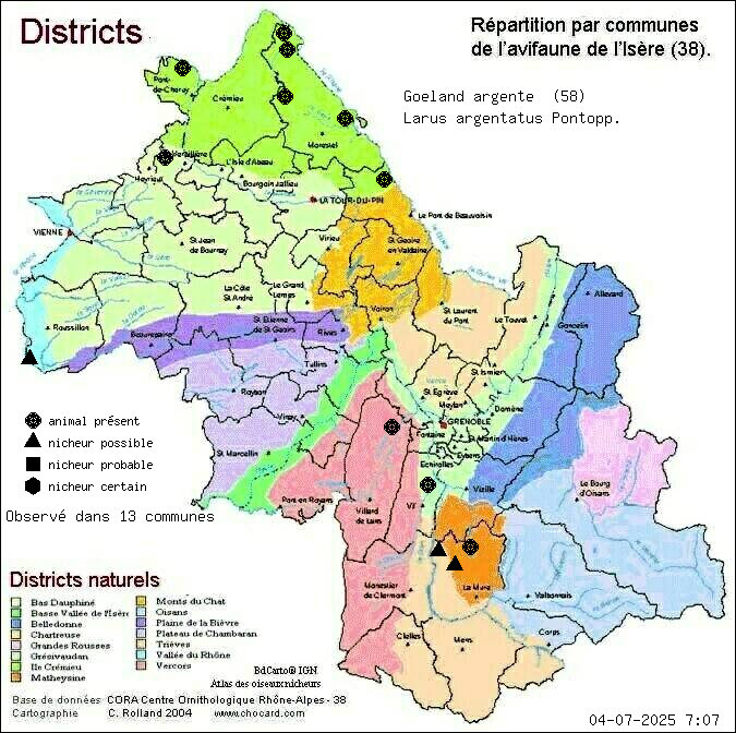 Goland argent (Larus argentatus Pontopp.): carte de rpartition en Isre