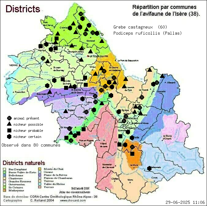 Grbe castagneux (Podiceps ruficollis (Pallas)): carte de rpartition en Isre