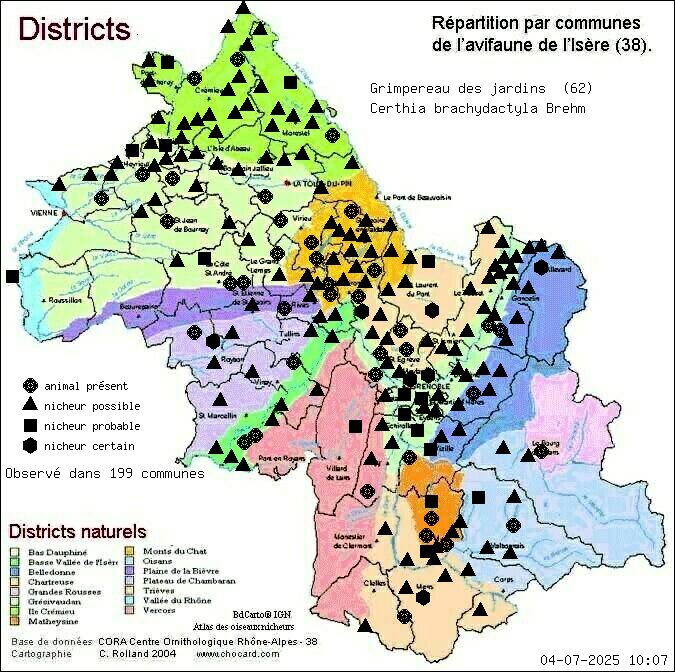 Grimpereau des jardins (Certhia brachydactyla Brehm): carte de rpartition en Isre