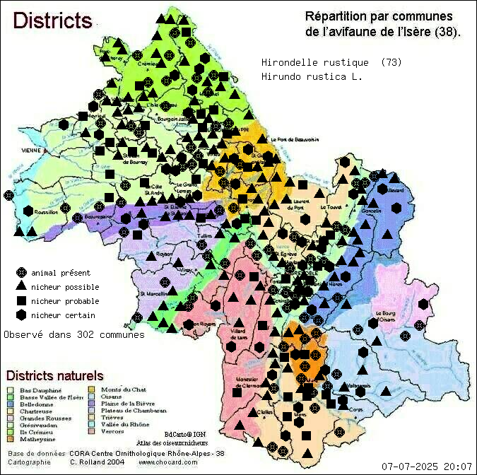 Hirondelle rustique (Hirundo rustica L.): carte de rpartition en Isre
