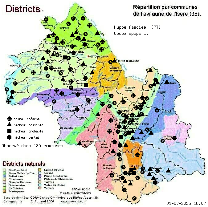 Huppe fascie (Upupa epops L.): carte de rpartition en Isre