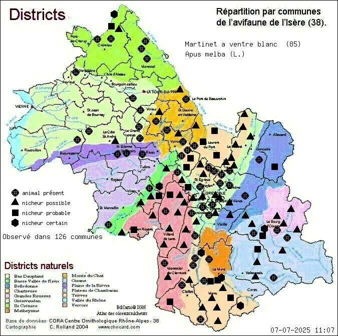 Martinet  ventre blanc (Apus melba (L.)): carte de rpartition en Isre