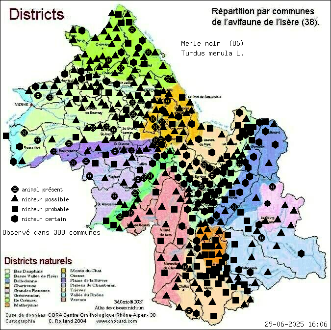 Carte de rpartition par communes en Isre d'une espce d'animal: Merle noir (Turdus merula L.) selon Districts naturels