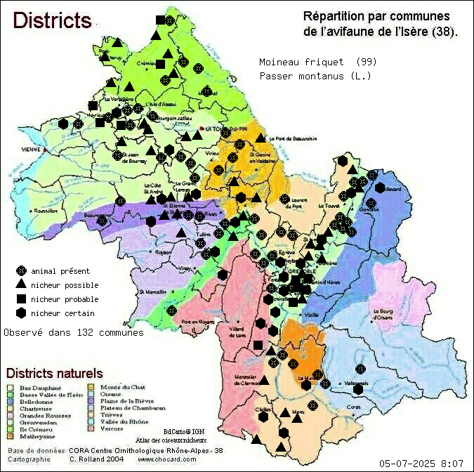 Moineau friquet (Passer montanus (L.)): carte de rpartition en Isre