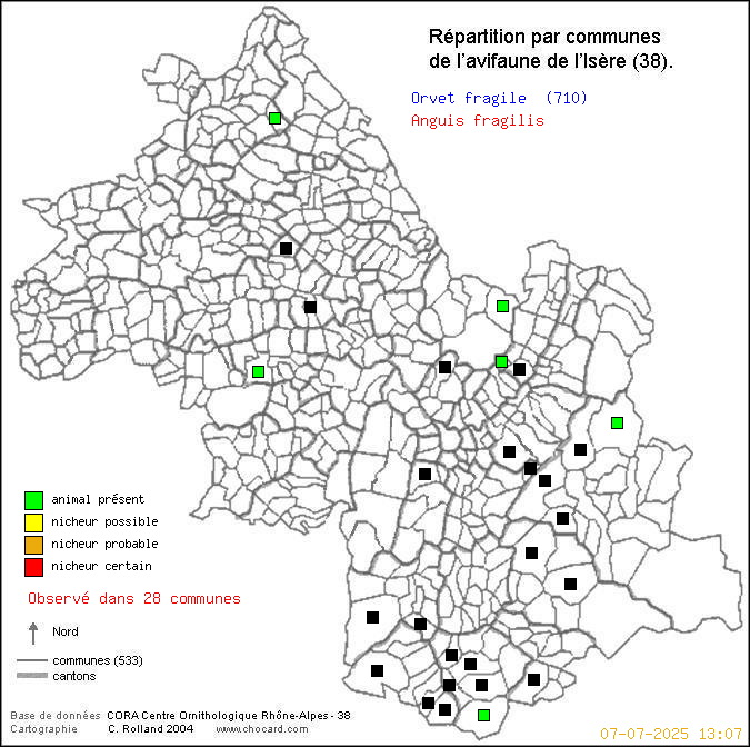 Carte de rpartition par communes en Isre d'une espce d'animal: Orvet fragile (Anguis fragilis) selon Communes et cantons
