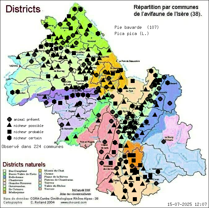 Carte de rpartition par communes en Isre d'une espce d'animal: Pie bavarde (Pica pica (L.)) selon Districts naturels