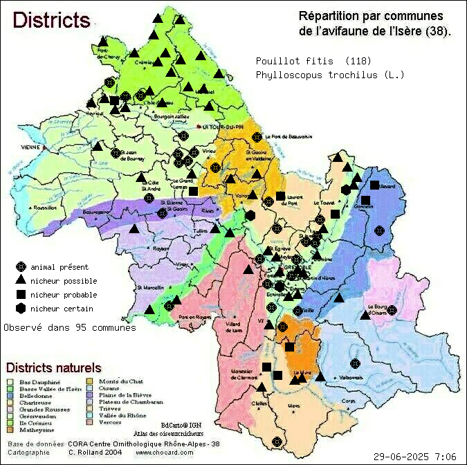 Pouillot fitis (Phylloscopus trochilus (L.)): carte de rpartition en Isre