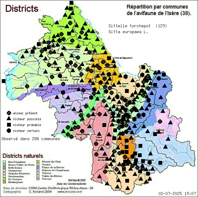 Sittelle torchepot (Sitta europaea L.): carte de rpartition en Isre