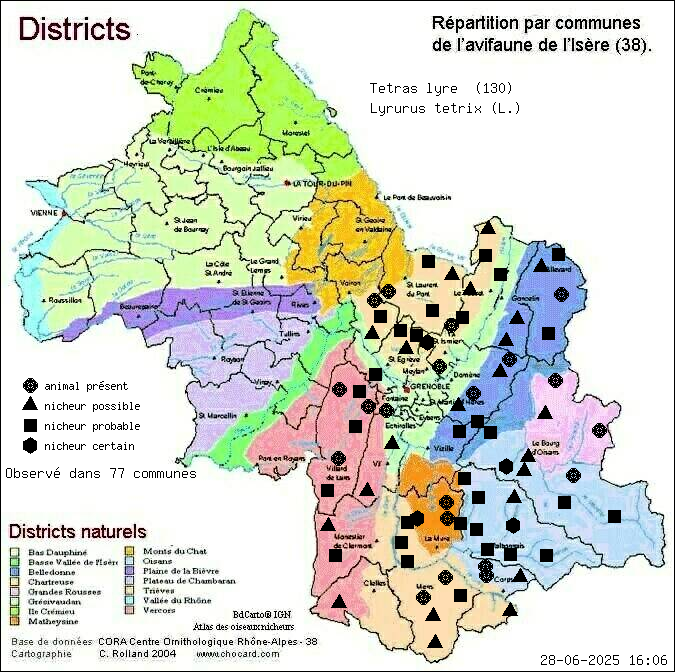 Ttras lyre (Lyrurus tetrix (L.)): carte de rpartition en Isre