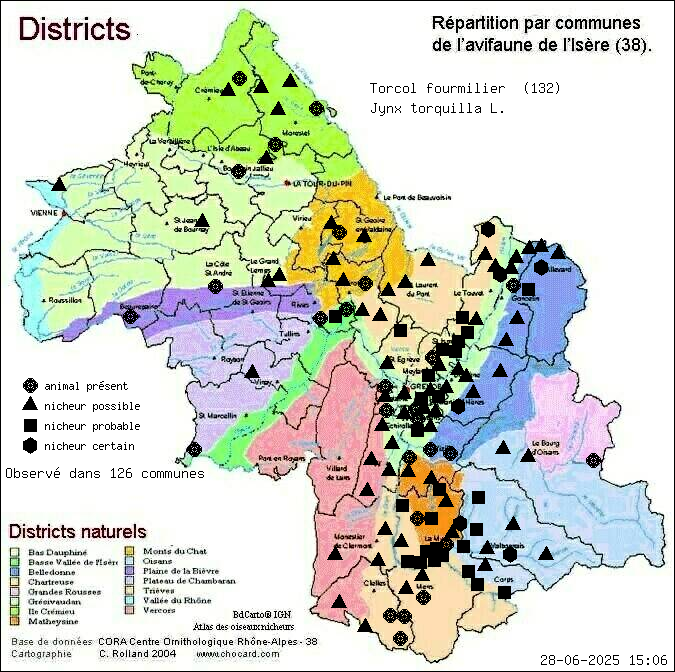 Torcol fourmilier (Jynx torquilla L.): carte de rpartition en Isre