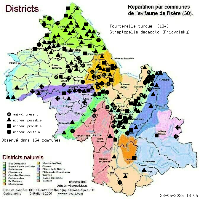 Tourterelle turque (Streptopelia decaocto (Fridvalsky)): carte de rpartition en Isre