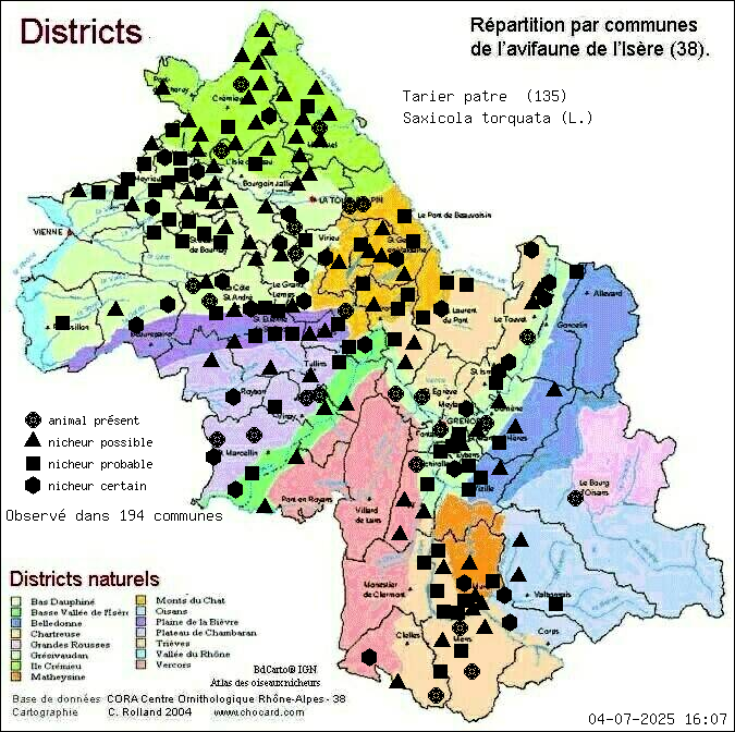 Tarier ptre (Saxicola torquata (L.)): carte de rpartition en Isre