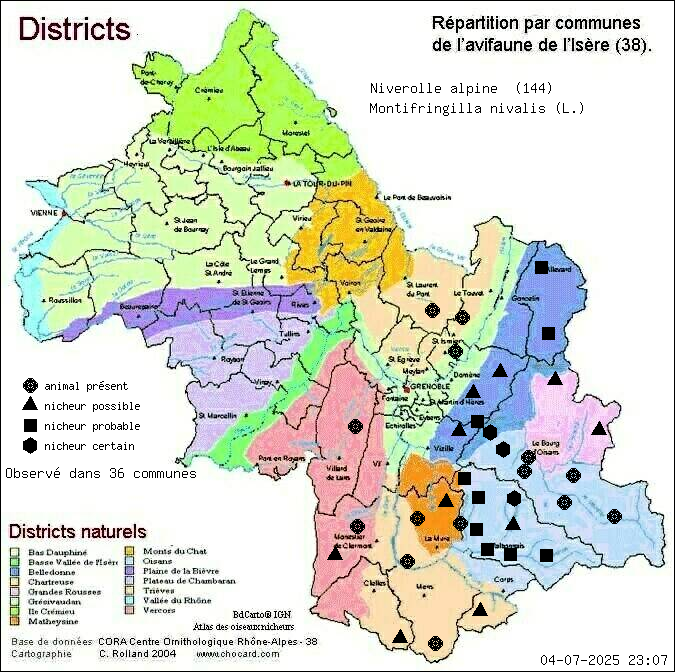 Carte de rpartition par communes en Isre d'une espce d'animal: Niverolle alpine (Montifringilla nivalis (L.)) selon Districts naturels