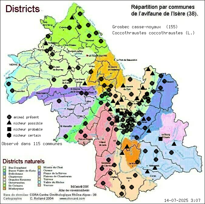 Grosbec casse-noyaux (Coccothraustes coccothraustes (L.)): carte de rpartition en Isre