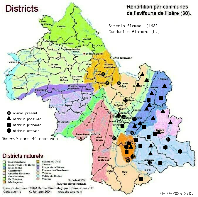 Sizerin flamm (Carduelis flammea (L.)): carte de rpartition en Isre