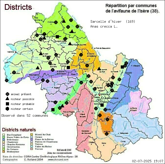 Carte de rpartition par communes en Isre d'une espce d'animal: Sarcelle d hiver (Anas crecca L.) selon Districts naturels