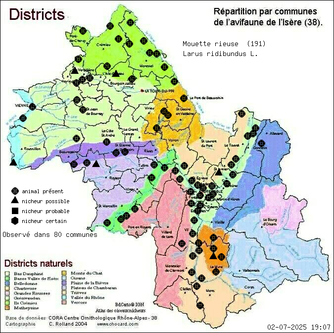 Carte de rpartition par communes en Isre d'une espce d'animal: Mouette rieuse (Larus ridibundus L.) selon Districts naturels