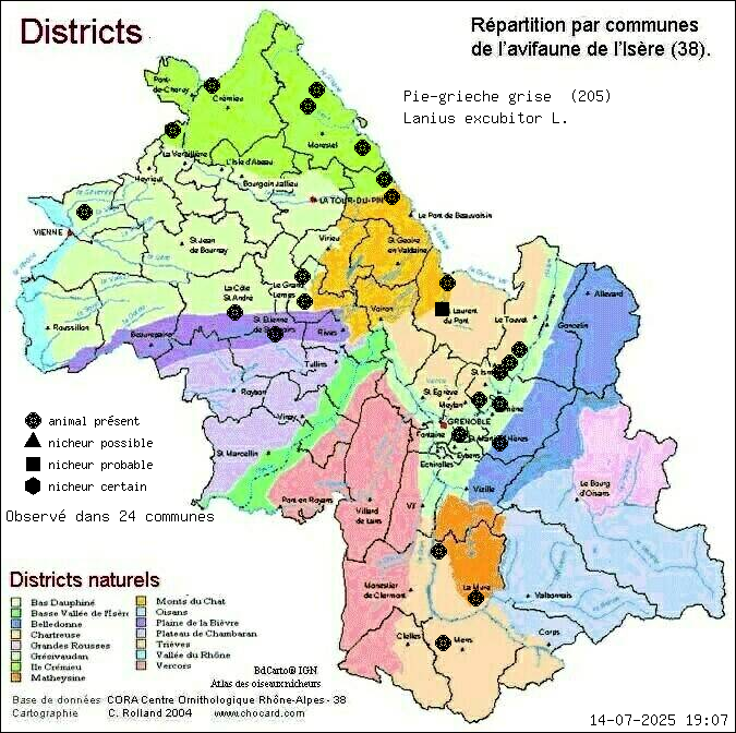 Carte de rpartition par communes en Isre d'une espce d'animal: Pie-griche grise (Lanius excubitor L.) selon Districts naturels