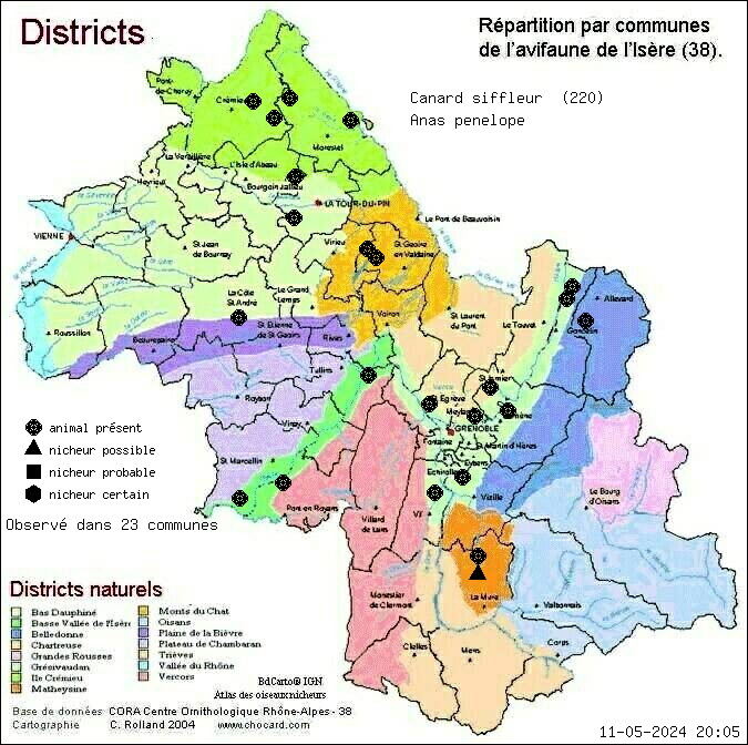 Carte de rpartition par communes en Isre d'une espce d'animal: Canard siffleur (Anas penelope) selon Districts naturels