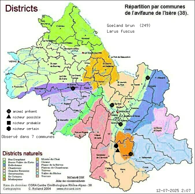 Goland brun (Larus fuscus): carte de rpartition en Isre