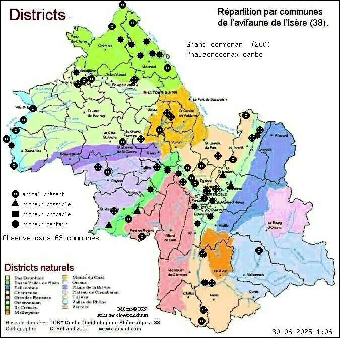 Grand cormoran (Phalacrocorax carbo): carte de rpartition en Isre