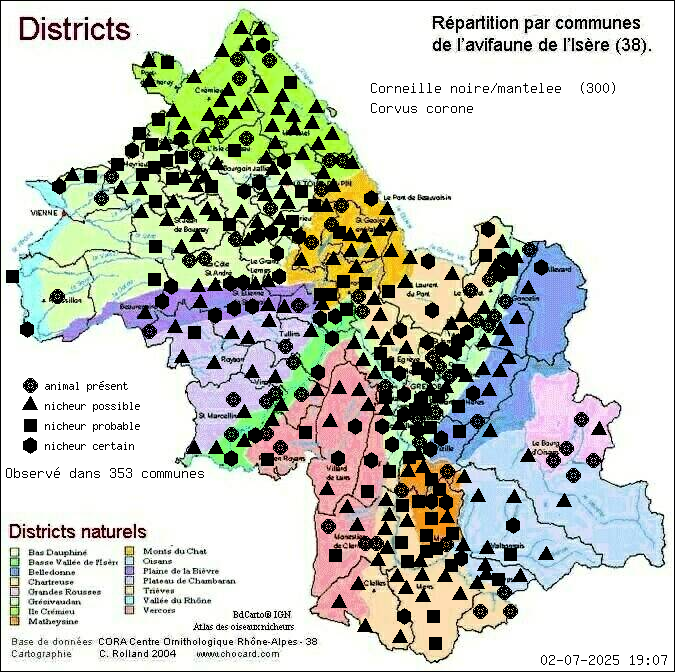 Carte de rpartition par communes en Isre d'une espce d'animal: Corneille noire/mantele (Corvus corone) selon Districts naturels