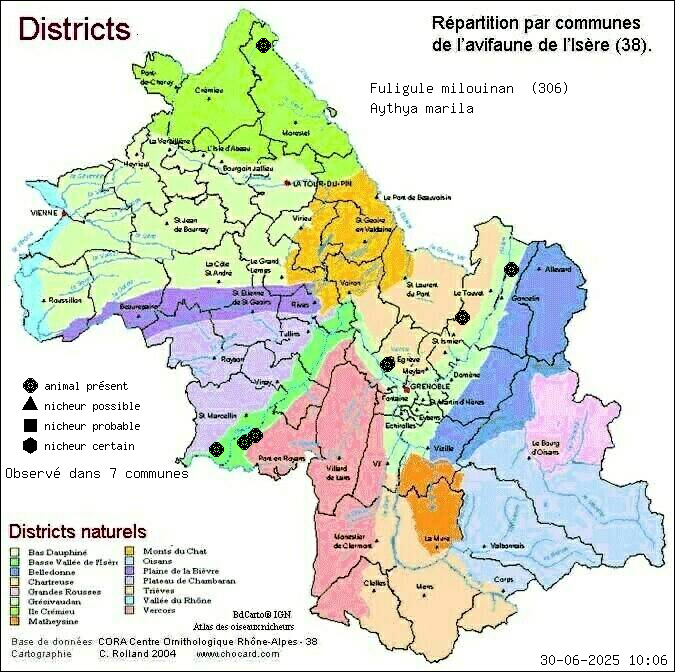 Carte de rpartition par communes en Isre d'une espce d'animal: Fuligule milouinan (Aythya marila) selon Districts naturels