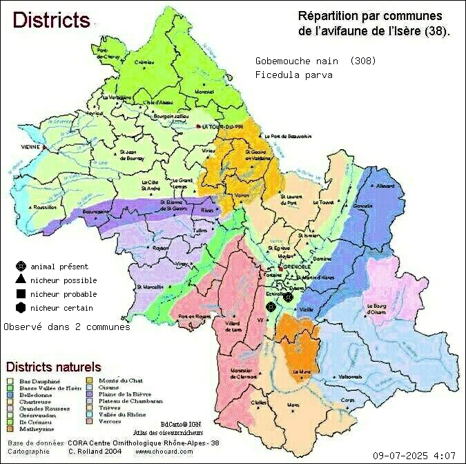 Gobemouche nain (Ficedula parva): carte de rpartition en Isre