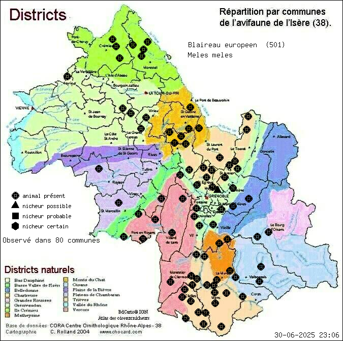 Carte de rpartition par communes en Isre d'une espce d'animal: Blaireau europen (Meles meles) selon Districts naturels