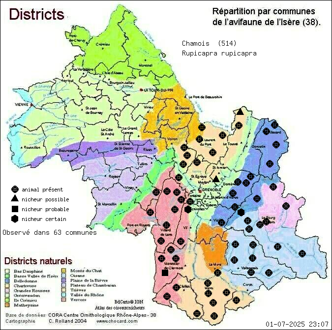 Carte de rpartition par communes en Isre d'une espce d'animal: Chamois (Rupicapra rupicapra) selon Districts naturels