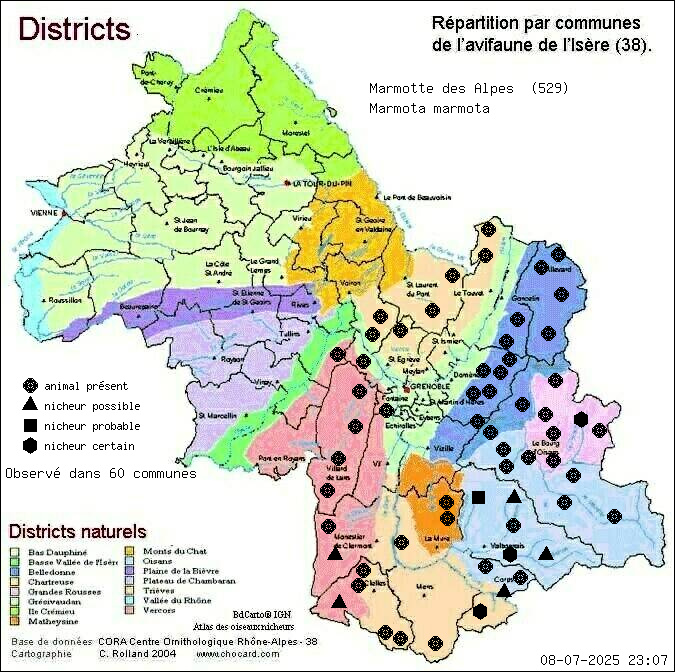 Carte de rpartition par communes en Isre d'une espce d'animal: Marmotte des Alpes (Marmota marmota) selon Districts naturels