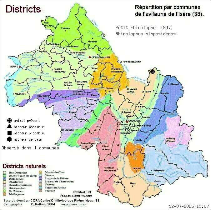 Carte de rpartition par communes en Isre d'une espce d'animal: Petit rhinolophe (Rhinolophus hipposideros) selon Districts naturels