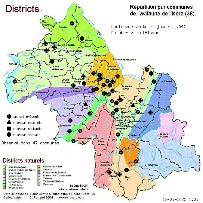 Carte de rpartition par communes en Isre d'une espce d'animal: Couleuvre verte et jaune (Coluber viridiflavus) selon Districts naturels