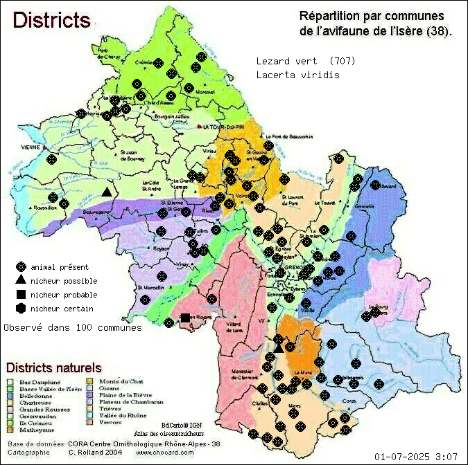 Carte de rpartition par communes en Isre d'une espce d'animal: Lzard vert (Lacerta viridis) selon Districts naturels