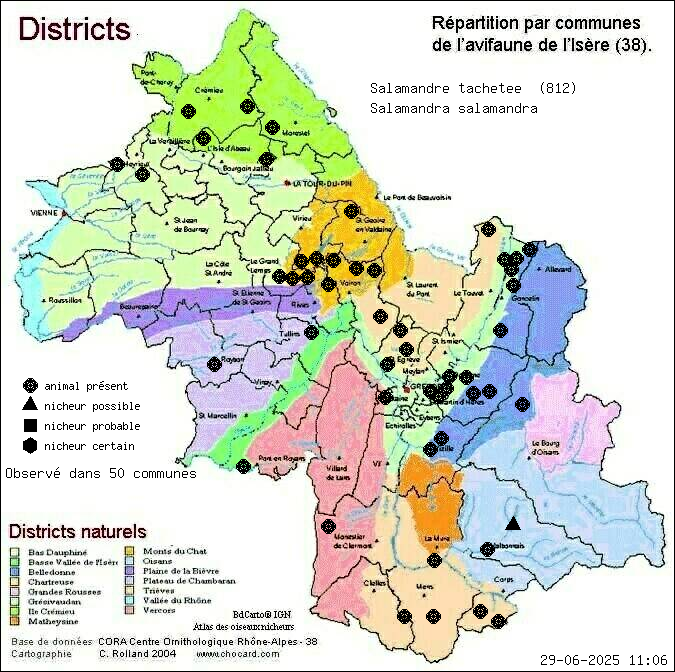 Carte de rpartition par communes en Isre d'une espce d'animal: Salamandre tachete (Salamandra salamandra) selon Districts naturels