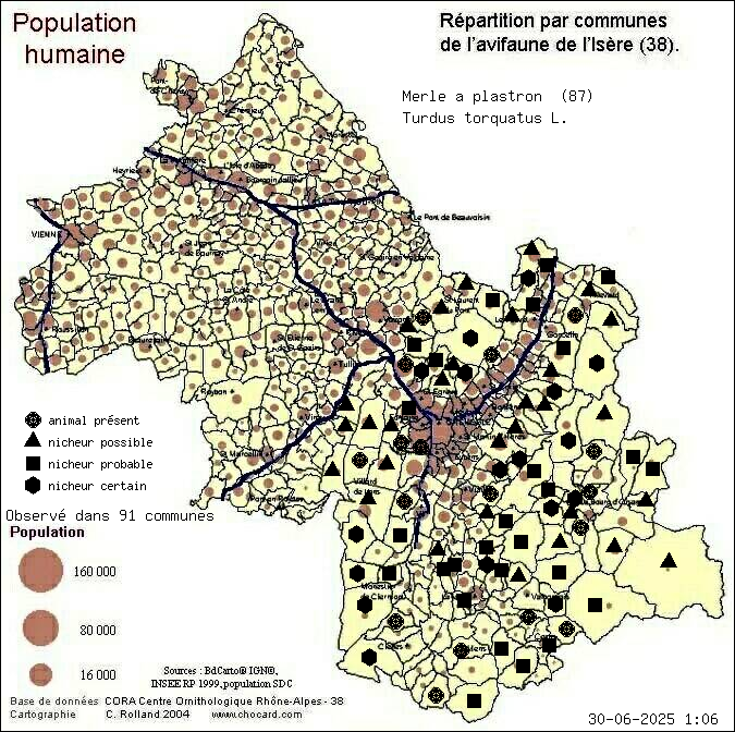 Merle  plastron (Turdus torquatus L.): carte de rpartition en Isre