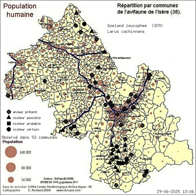 Goland leucophe (Larus cachinnans): carte de rpartition en Isre