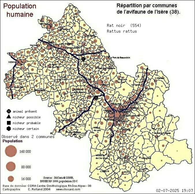 Rat noir (Rattus rattus): carte de rpartition en Isre