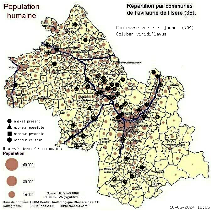 Carte de rpartition par communes en Isre d'une espce d'animal: Couleuvre verte et jaune (Coluber viridiflavus) selon Population humaine